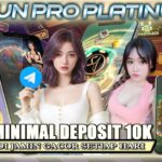 Akun Pro Platinum Resmi Terpercaya Gacor Setiap Hari