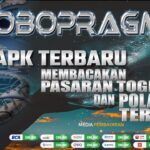 Robopragma APK