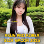 Akun Pro Korea